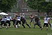 Oberliga NRW: Krefeld Ravens vs Aachen Vampires 62:00 07.05.2022