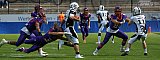GFL S&uuml;d: Frankfurt Universe vs Ingolstadt Dukes 63:13 16.06.2019