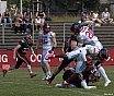 GFL2 Nord: D&uuml;sseldorf Panther vs Solingen Paladins 13:00 26.06.2021