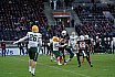 GFL Nord: NewYorker Lions Braunschweig vs Cologne Crocodiles 23:06 04.05.2019 (Galerie 2)