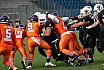Playoff Halbfinale New Yorker Lions Braunschweig vs. Frankfurt Universe 36:18 29.09.19 (1)
