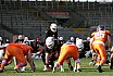 Playoff Halbfinale New Yorker Lions Braunschweig vs. Frankfurt Universe 36:18 29.09.19 (1)