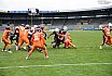Playoff Halbfinale New Yorker Lions Braunschweig vs. Frankfurt Universe 36:18 29.09.19 (1)