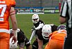 Playoff Halbfinale New Yorker Lions Braunschweig vs. Frankfurt Universe 36:18 29.09.19 (1)