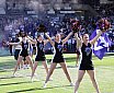 Die Cheerleader beim Spiel Vienna Vikings vs Rhein Fire (26:33) am 21.06.2025