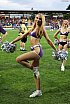 Die Frankfurt Galaxy Dancers beim Heimspiel der Frankfurt Galaxy gegen Stuttgart Surge am 12.07.2025