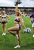 Die Frankfurt Galaxy Dancers beim Heimspiel der Frankfurt Galaxy gegen Stuttgart Surge am 12.07.2025