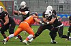 Playoff Halbfinale New Yorker Lions Braunschweig vs. Frankfurt Universe 36:18 29.09.19 (2)