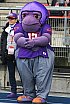 Playoff Halbfinale New Yorker Lions Braunschweig vs. Frankfurt Universe 36:18 29.09.19 (2)