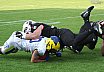 GFL Nord New Yorker Lions Braunschweig vs. Hildesheim Invaders 35:28  22.06.19 Galerie 2