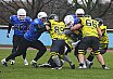 Salzgitter Steelers vs. Werningerode Mountain Tigers  07:35 16.03.2019