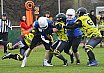 Salzgitter Steelers vs. Werningerode Mountain Tigers  07:35 16.03.2019