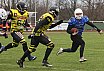 Salzgitter Steelers vs. Werningerode Mountain Tigers  07:35 16.03.2019