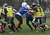 Salzgitter Steelers vs. Werningerode Mountain Tigers  07:35 16.03.2019