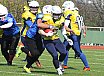 Preseason: Salzgitter Steelers vs Brandenburg Patriots 3:0 06.04.2019