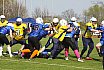 Preseason: Salzgitter Steelers vs Brandenburg Patriots 3:0 06.04.2019