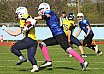 Preseason: Salzgitter Steelers vs Brandenburg Patriots 3:0 06.04.2019