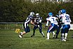 LL: Heilbronn Miners vs. VS Neckar Hammers 24:31