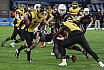 GFL Playoffs NewYorker Lions Braunschweig vs Munich Cowboys 59-14 22.09.2018