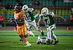 GFL Football: Germanbowl XL Frankfurt vs Hall 19:21 13.10.2018 Galerie 3