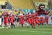 GFL Nord: Dresden Monarchs vs NewYorker Lions Braunschweig 31:34 01.06.2019