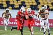 GFL Nord: Dresden Monarchs vs NewYorker Lions Braunschweig 31:34 01.06.2019