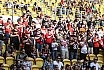 GFL Nord: Dresden Monarchs vs NewYorker Lions Braunschweig 31:34 01.06.2019