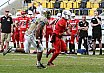 GFL Nord: Dresden Monarchs vs NewYorker Lions Braunschweig 31:34 01.06.2019