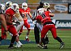 GFL Nord: Dresden Monarchs vs NewYorker Lions Braunschweig 31:34 01.06.2019