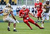 GFL Nord: Dresden Monarchs vs NewYorker Lions Braunschweig 31:34 01.06.2019