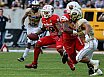 GFL Nord: Dresden Monarchs vs NewYorker Lions Braunschweig 31:34 01.06.2019