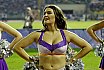 Die Frankfurt Universe Cheerleader beim Germanbowl XL in Berlin am 13.10.2018