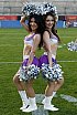 Die Frankfurt Universe Cheerleader beim Heimspiel gegen die Schw&auml;bisch Hall Unicorns am 01.06.2019