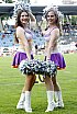 Die Frankfurt Universe Cheerleader beim Heimspiel gegen die Marburg Mercenaries 12:42 10.07.2021
