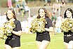 Die Cologne Crocodiles und D&uuml;sseldorf Pantherettes Cheerleader beim GFL Spiel der D&uuml;sseldorf Panther gegen die Cologne Crocodiles am 20.08.2022