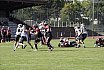 GFL Nord: Düsseldorf Panther vs Paderborn Dolphins 28:24 09.08.2025