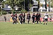 GFL Nord: Düsseldorf Panther vs Paderborn Dolphins 28:24 09.08.2025