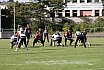 GFL Nord: Düsseldorf Panther vs Paderborn Dolphins 28:24 09.08.2025
