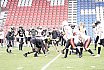 Preseason Football: Krefeld Ravens vs M&uuml;nster Phoenix 33:00 13.02.2025