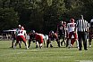 GFL2 Nord: D&uuml;sseldorf Panther vs L&uuml;beck Cougars 16:10 31.08.2024