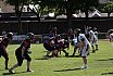 WGFL2. Krefeld Ravens Ladies vs Solingen Paladins Ladies 48:44 29.06.2025