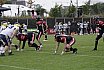 GFL Nord: Düsseldorf Panther vs Hildesheim Invaders 13:10 06.07.2025