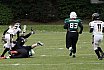 DBL2: Krefeld Ravens Ladies vs. M&uuml;lheim Shamrocks Womans Takle Football 14:06 16.06.2024