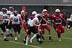 GFL Preseason: Stuttgart Scorpions vs D&uuml;sseldorf Panther 29:14 13.04.2019