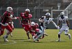 GFL S&uuml;d: Stuttgart Scorpions vs. Ingolstadt Dukes 37:30 19.05.2019 