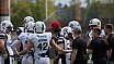 GFL S&uuml;d: Stuttgart Scorpions vs. Ingolstadt Dukes 37:30 19.05.2019 