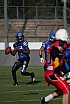 GFL S&uuml;d: Stuttgart Scorpions vs. Allg&auml;u Comets 12:16 03.08.2019