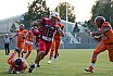GFL S&uuml;d: Stuttgarter Scorpions vs Frankfurt Universe 24:26 31.08.2019